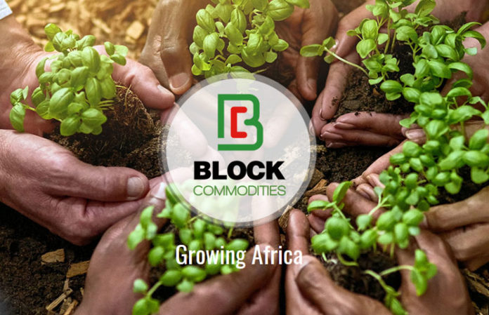 Blockchain For Smallholder Farmers In Africa The Blockchain Land