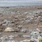 plastic-pollution-blockchainland