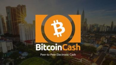 Bitcoin-Cash-BlockchainLand