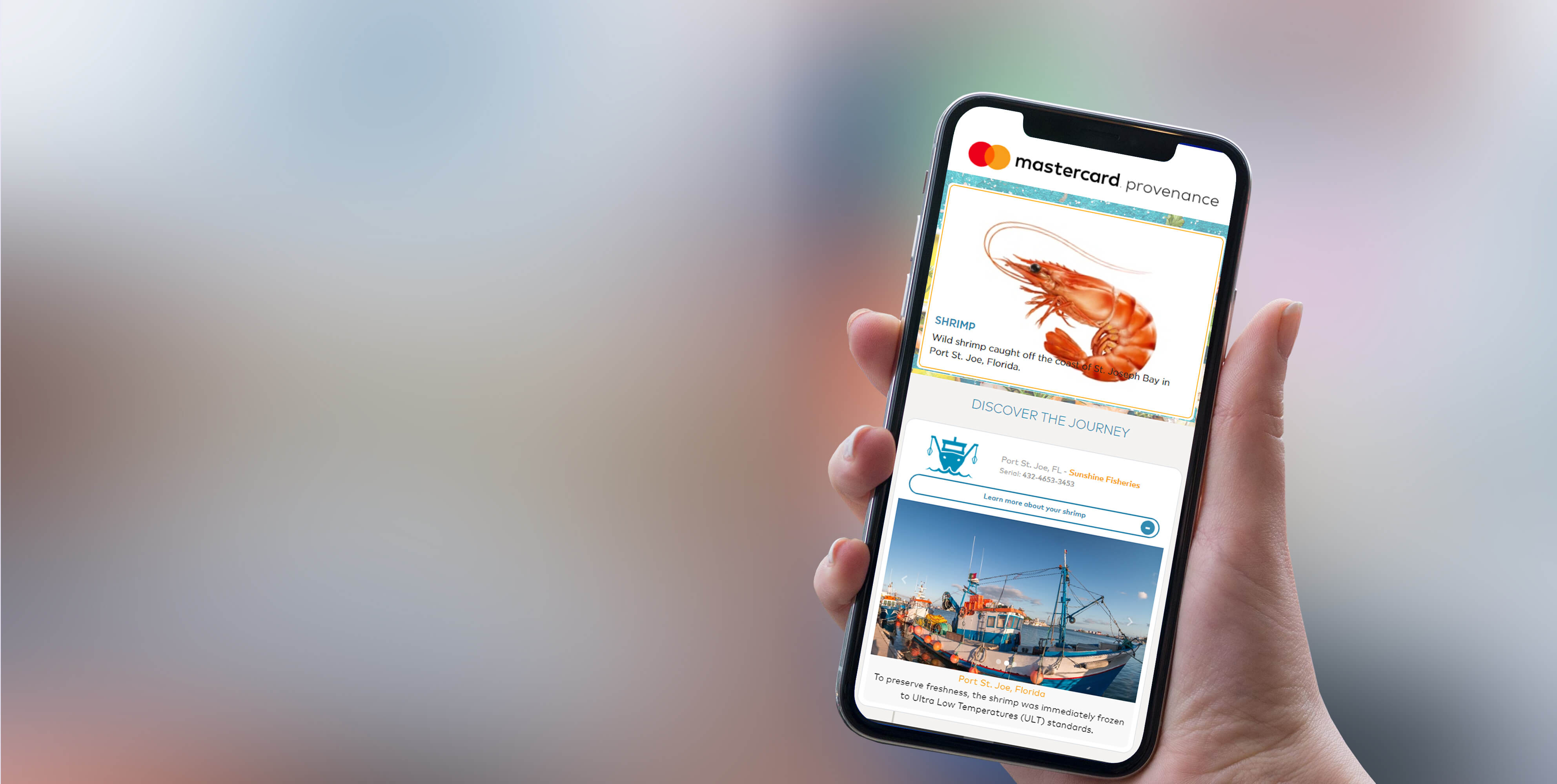 topco-mastercard-provenance-blockchainLand