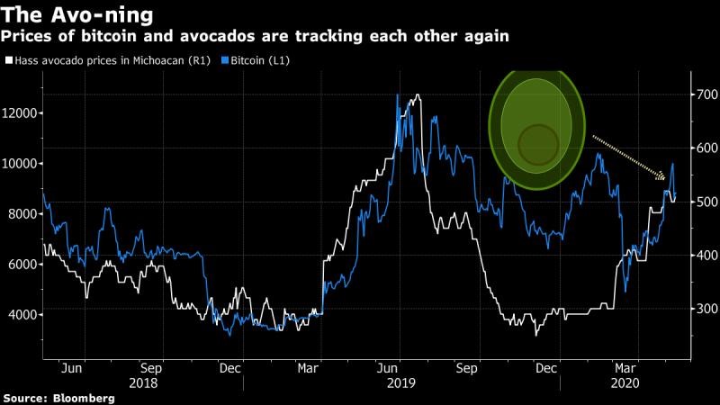 bitcoin-halving-avo-hash-blockchainLand