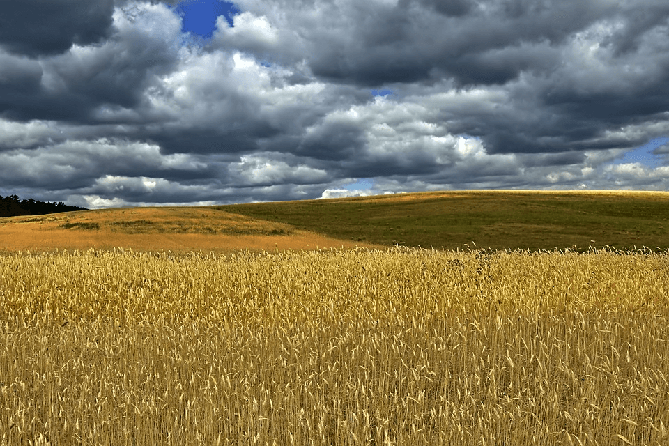 Agricultural-Revolution-Blockchain-Big-Data